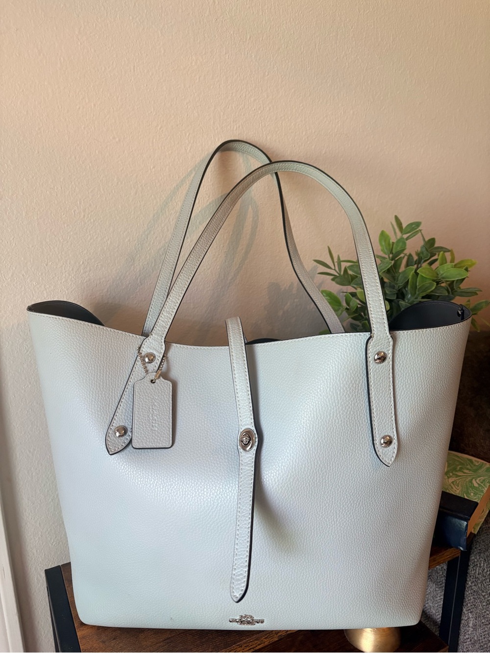 Coach Derby Tote F58660 Silver Mist Pebbled Leather